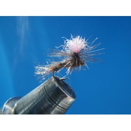SEMINACIDA PARACHUTE ARDILLA