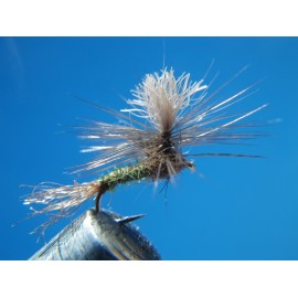 SEMINACIDA PARACHUTE OLIVA OSCURO