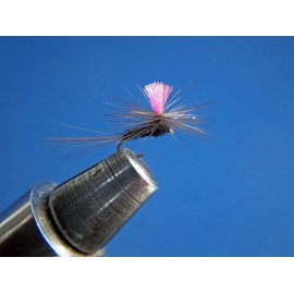 BAETIS NIGER PARACHUTE