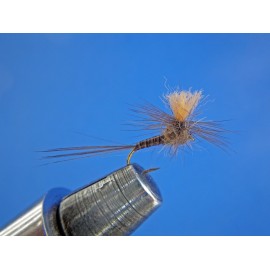 BÉTIDO QUILL NATURAL