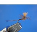 BÉTIDO QUILL NATURAL