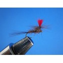 PARACHUTE LIEBRE