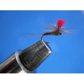 PARACHUTE OLIVA