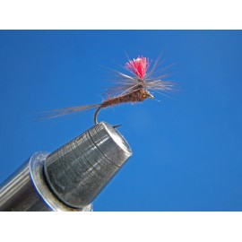 PARACHUTE TABACO