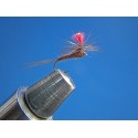 PARACHUTE TABACO