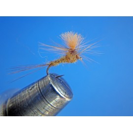 PARACHUTE CARRIONA