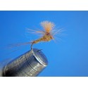 PARACHUTE CARRIONA