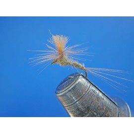 PARACHUTE ESLINA