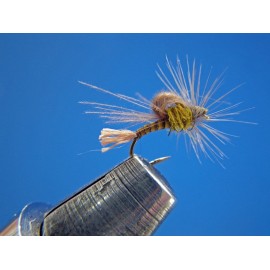 EMERGENTE OLIVA QUILL TEÑIDO