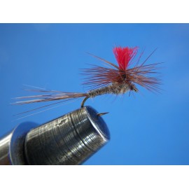 ADAMS PARACHUTE