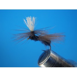HORMIGA PARACHUTE