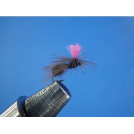 HORMIGA PARACHUTE FLUOR