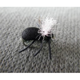 ESCARABAJO NEGRO