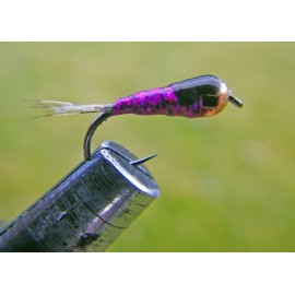 PERDIGÓN MORADO BRILLOS