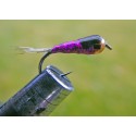 PERDIGÓN MORADO BRILLOS