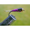 PERDIGÓN MORADO BRILLOS