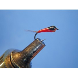 PERDIGÓN ROJO