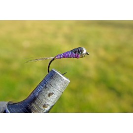 PERDIGÓN VIOLETA BRILLOS