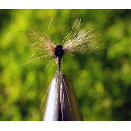 NIGER QUILL PLA